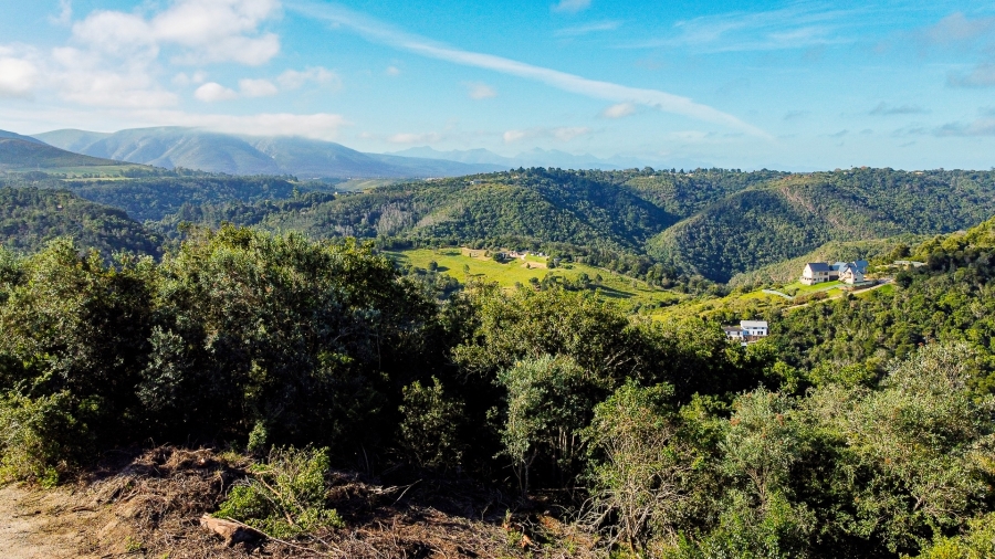 0 Bedroom Property for Sale in Wilderness Heights Western Cape